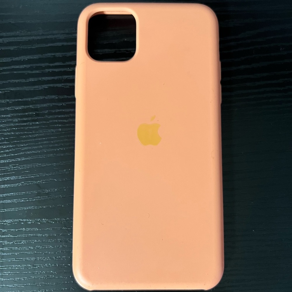 iPhone 11 Pro Max Apple case